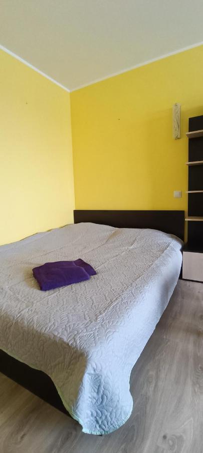 Adeles Apartamentai Panevezyje Panevėžys Εξωτερικό φωτογραφία